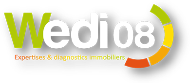 LOGO WEDI 08